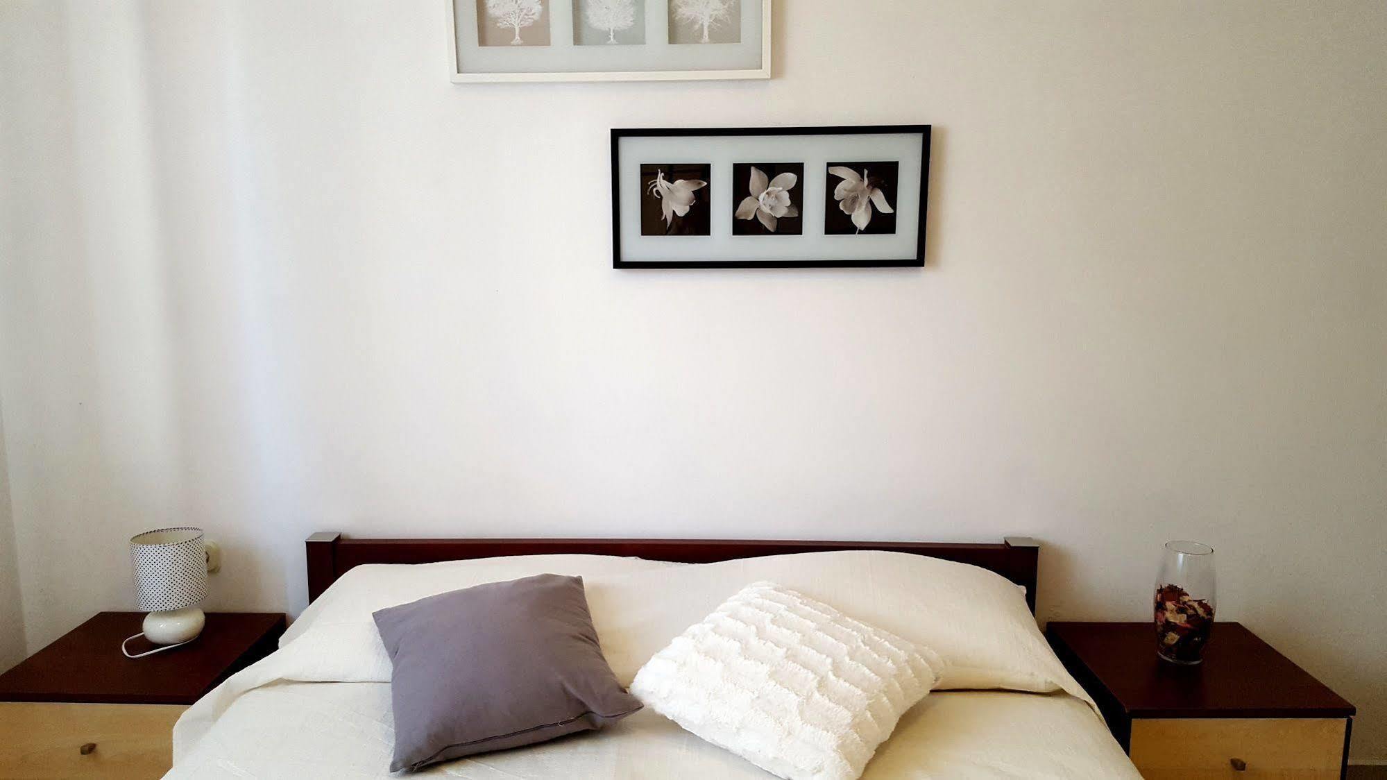 Apartments Vanda Rovinj Extérieur photo